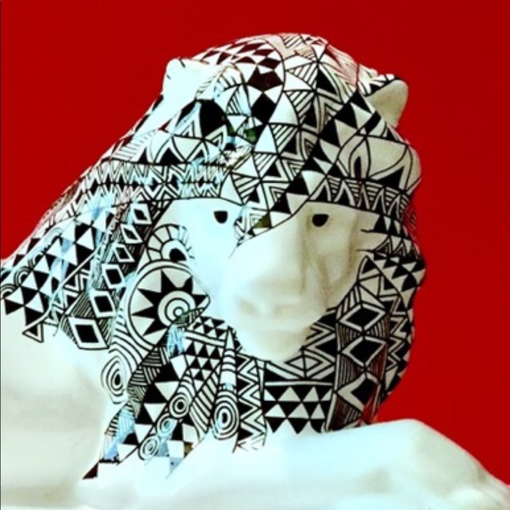 LION DECOR - Picture 2 of 14